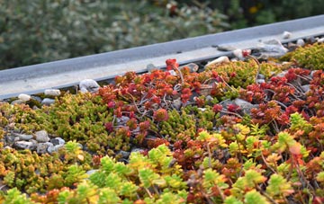 the cost of Reedy green roof installation