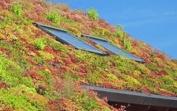 Reedy living roof systems